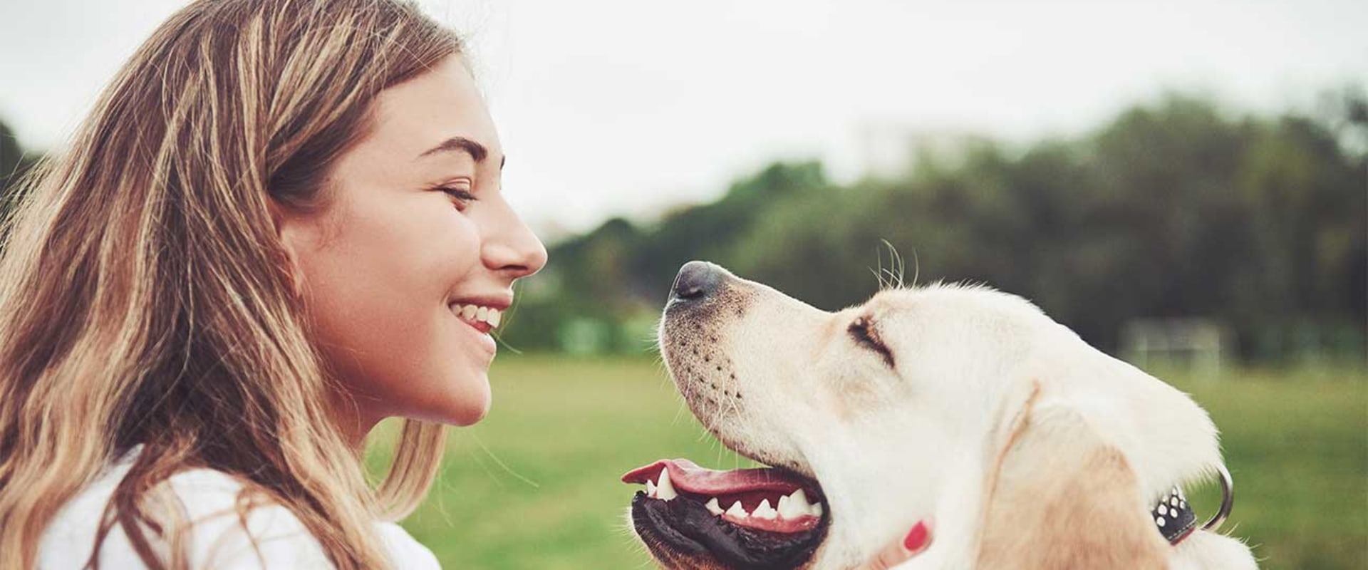 Pet-Friendly Treatment Centers in Phoenix, AZ: A Guide for Pet Owners