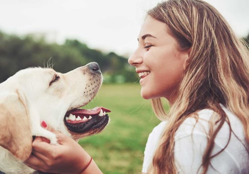 Pet-Friendly Treatment Centers in Phoenix, AZ: A Guide for Pet Owners
